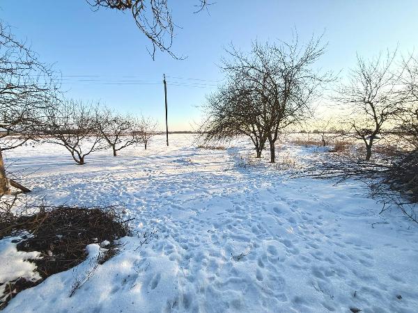  - фото нерухомості